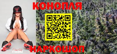 гидра Лесосибирск