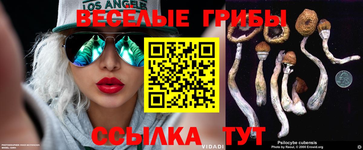 Псилоцибиновые грибы MAGIC MUSHROOMS  как найти закладки  Шадринск  Вход с VPN 